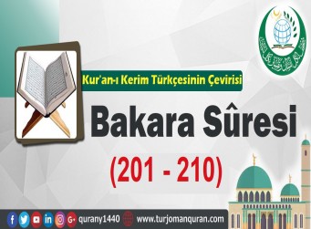Kur'an-ı Kerim Türkçesinin Çevirisi - Bakara Sûresi ( 201- 210)