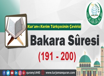 Kur'an-ı Kerim Türkçesinin Çevirisi - Bakara Sûresi (191 -200 )