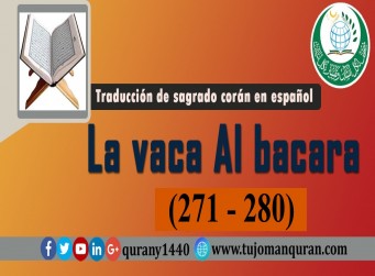 Traducción de sagrado corán en español - 2 - La vaca Al bacara – (271 - 280)