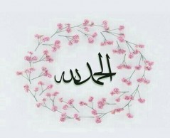الالبوم الأول